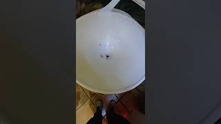クルクル回る募金箱