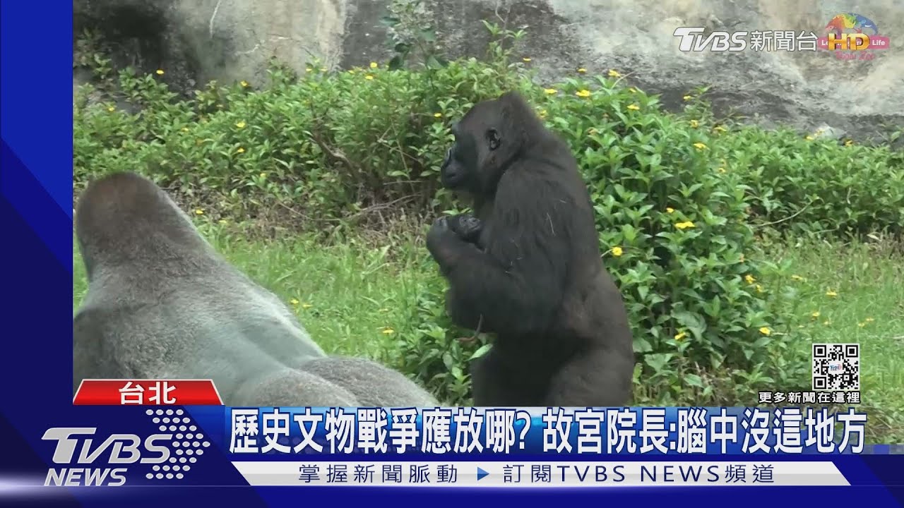 台遇戰火怎辦?北市動物園:「小型動物」帶著走