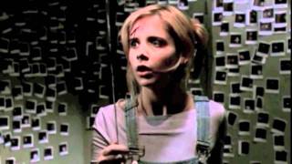 Buffy the Vampire Slayer