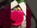 Wow Box! video