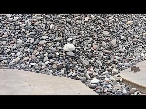 Barge unloading 2800 tons of cobblestone- Smooth, relaxing flow - Work vlog on the barge