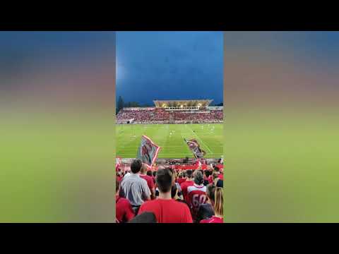 CSKA Sofia 4-0 Titograd Europa League 1QR 2019