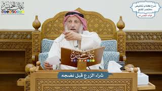 3117 - شراء الزرع قبل نضجه - عثمان الخميس