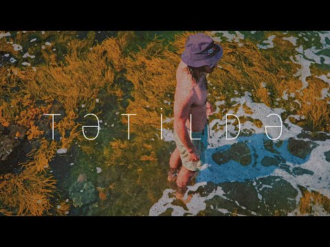 101 Moon Ave. and Xpert