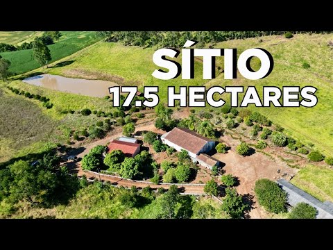 SÍTIO À VENDA EM SANTA CATARINA 17,5 HECTARES CASA FRUTAS LAVOURA PASTO GALPÃO E ÁGUA R$1.1mi