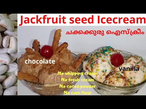 Homemade Icecream ||chakkakkuru icecream || jackfruit seed icecream || how to make icecream