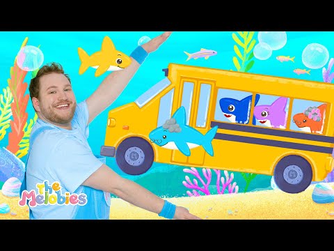 Baby Shark vs The Wheels on the Bus : Which Song is Better?