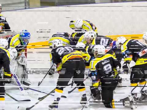 Pingviinit VS Nikkarit