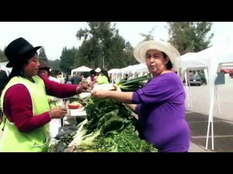 Noticiero Ecuador Rural, sábado 25 enero 2014