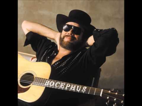 This Ain't Dallas Hank Williams jr