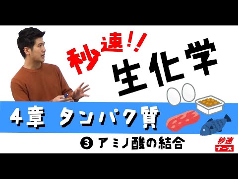 看護学科 【秒速ナース】4-3 アミノ酸の結合【生化学-授業動画】