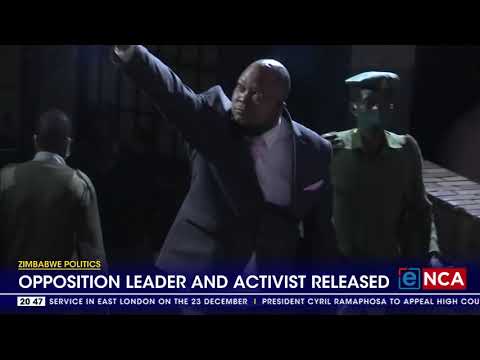 Zimbabwe politics Opposition leader and activist released