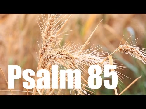 Psalm 85 - Bitte um das verheißene Heil