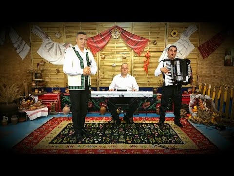 Nelu Bitina si Nicusor Troncea Colaj LIVE Muzica de Petrecere la Dulce i graiul de folclor