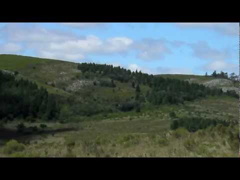 Vendo Chacra en proximidad de Punta del Este