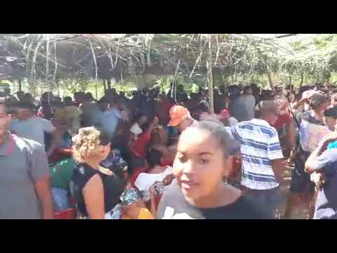 festa do peixe na água preta top top