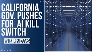 AI kill switch