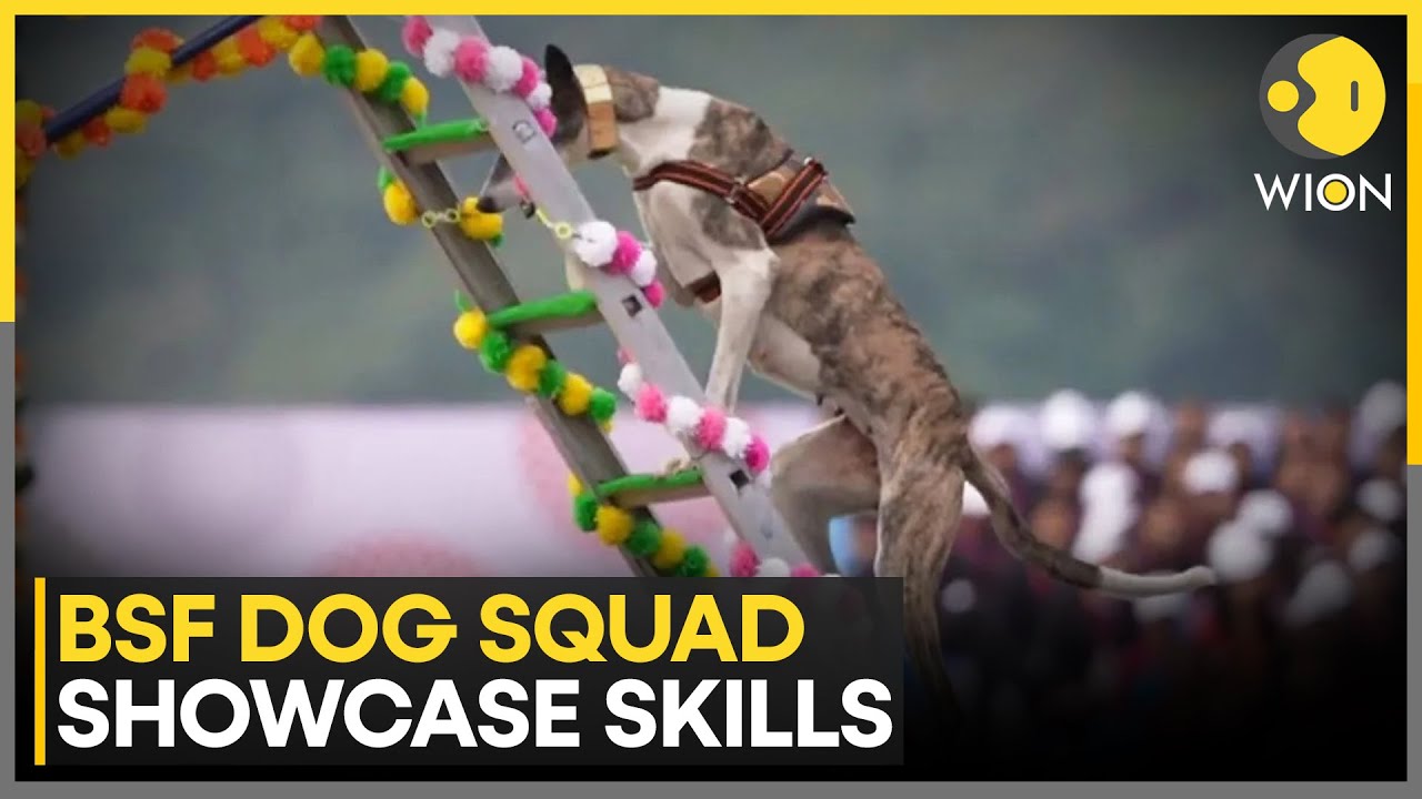 Indigenous Indian Dog Breeds Steal The Show At Rashtriya Ekta Divas Parade | WION News