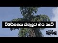 balumgala-13-03-2017