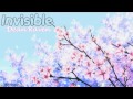 . Invisible ; Dean Raven 