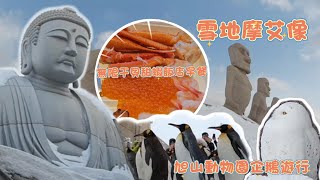 北海道雪地摩艾像、加到爆！無限干貝甜蝦的飯店早餐！  必看的企鵝遊行  #2025 #北海道 #摩艾像  #頭大佛 #旭山動物園 #企鵝遊行 #Vessel札幌