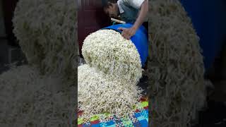 Download lagu Drum dipotong jadi 2,lebih efisien,menghemat media tanam,dan ruangan mp3