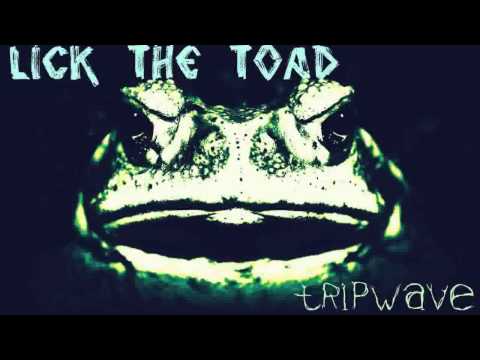Lick The Toad - Tripwave [dubstep/tripstep]