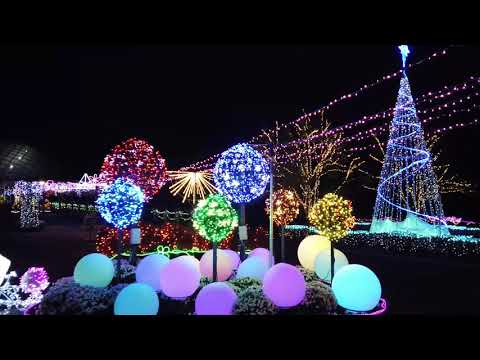 Flower Illumination in Tottori Hanakairo - Flower Park とっとり花回廊