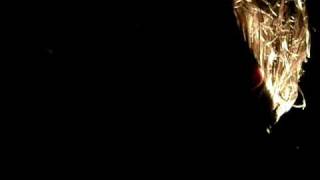 Jimmy Gnecco - Ran Away to Tell the World