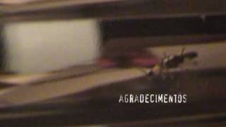 binário àrvore - créditos finais