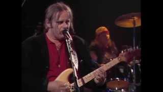Walter Trout Live in Germany 1993 Life in the Jungle