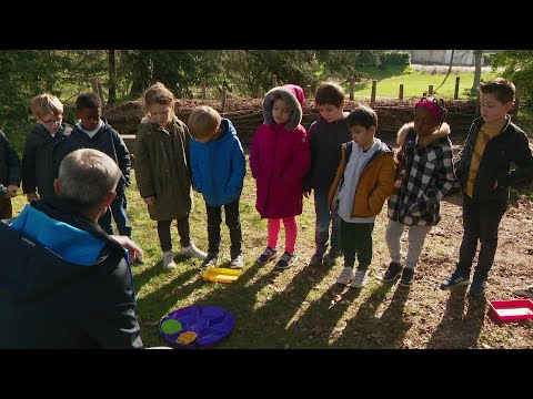 Biodiversité : cours en pleine nature pour les enfants d'une école primaire à Poitiers