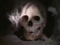 Zaginiony Skarb Cały Film 2015 Lektor PL 95