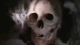 Zaginiony Skarb cały film 2015 Lektor PL 95