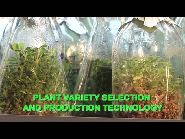 Hue University of Agriculture and Forestry video #1