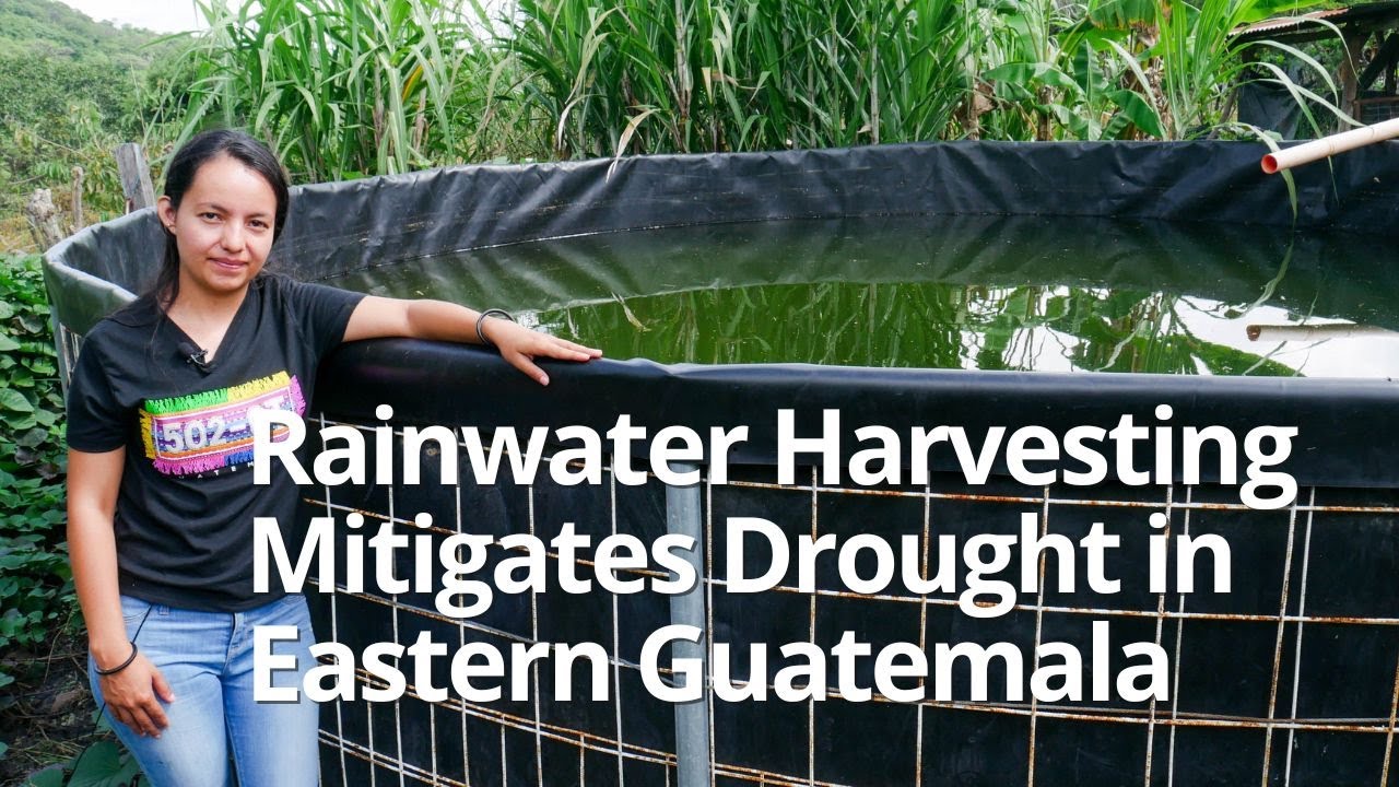 Rainwater Harvesting Mitigates Drought in Eastern Guatemala