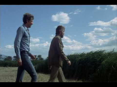 Saul Bass's Film "Phase IV": The Crop Circle Episode