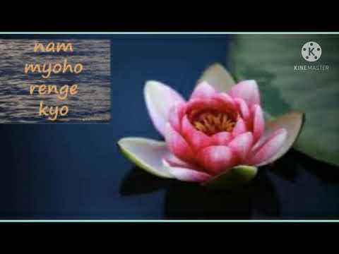 5 minutes Daimoku powerful healing chant Nam myoho renge kyo