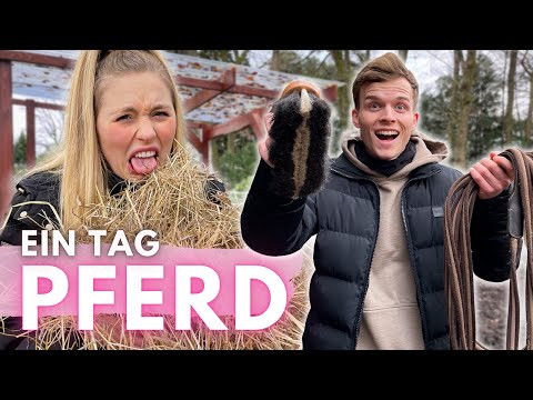 EIN TAG PFERD SEIN!