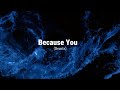 Vibfy -  Because You  (Remix)