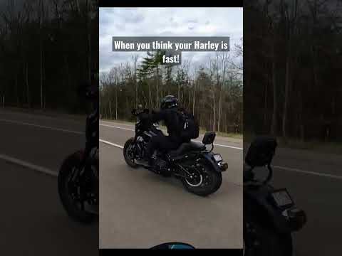 When you think your Harely is  fast! #shorts #motorcycle #harleydavidson #harley #mvagusta #fast