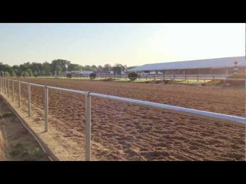 2012 Preakness Stakes: Went the Day Well's Friday workout at Pimlico