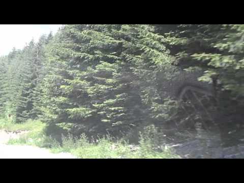 iacobeni spre borsa2013august! 10)