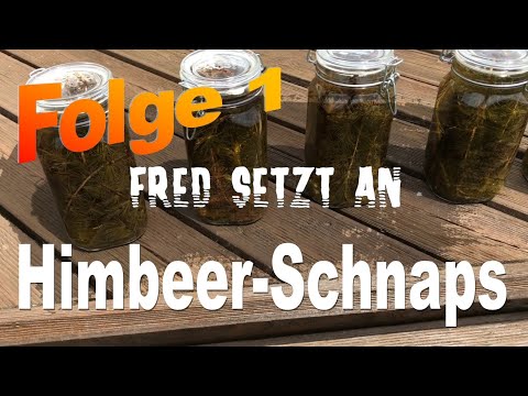 Fred setzt an - Folge 1 - Himbeerschnaps