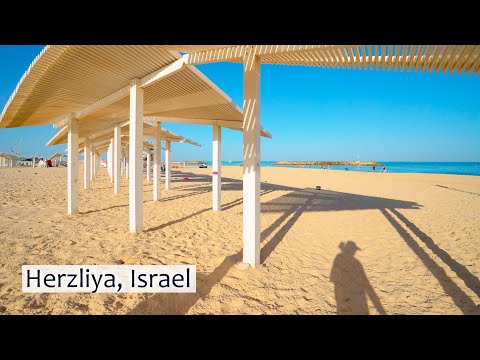 Israel's Coastal Beauty at Dawn 💚💛 Relaxing walk From Marina Herzliya to Herzliya Pituach.
