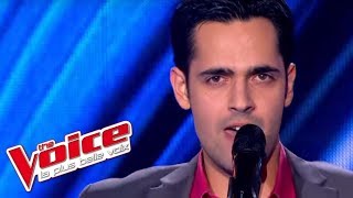 Whitney Houston – The Greatest Love of All | Yoann Fréget | The Voice France 2013 | Blind Audition