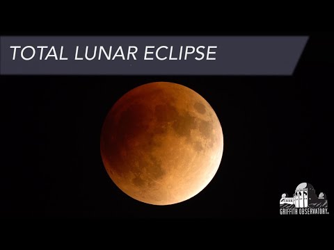 Come guardare l'Eclissi di Superluna online dall'Italia: i migliori webcast in diretta streaming LIVE dal mondo - VIDEO