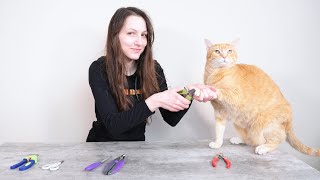 Top 5 Best Cat Nail Clippers (We Tested Them All)