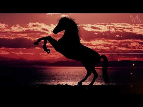 Svita - Konie Apokalipsy (Piwnica pod Baranami cover)