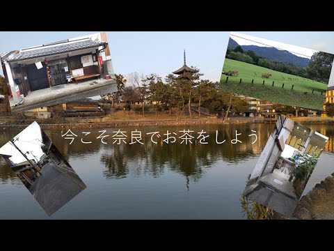 今こそ奈良でお茶をしよう‼️